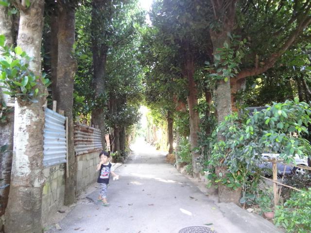 בית הארחה מוטובו 	Bise House מראה חיצוני תמונה